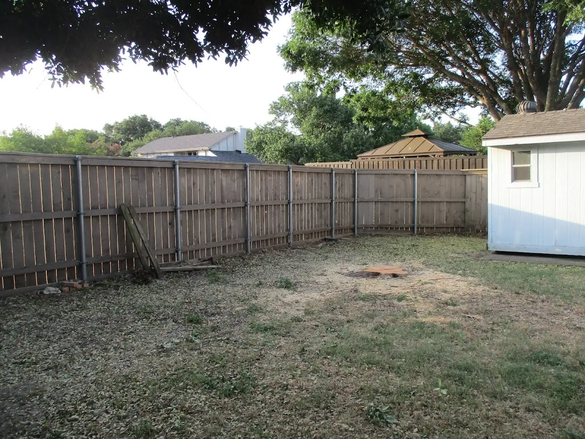 Cleared yard after professional tree removal in Owensville
