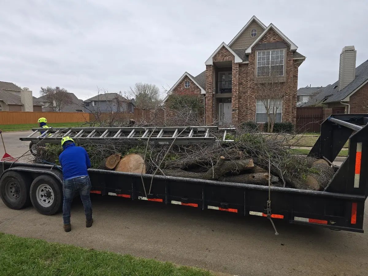 Expert Tree Removal with proper safety equipment in Owensville
